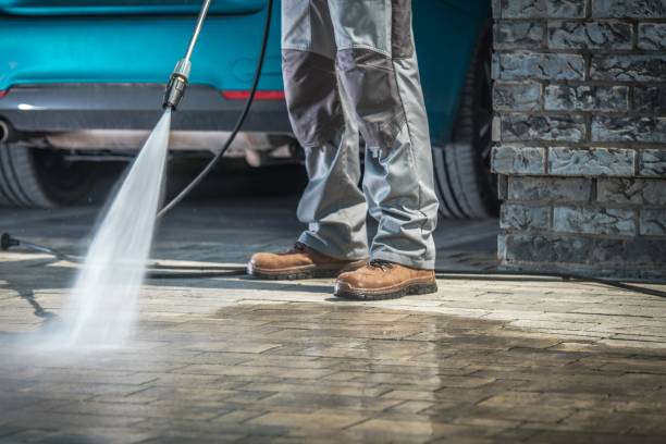 Best Building Exterior Washing  in St Peter, MN